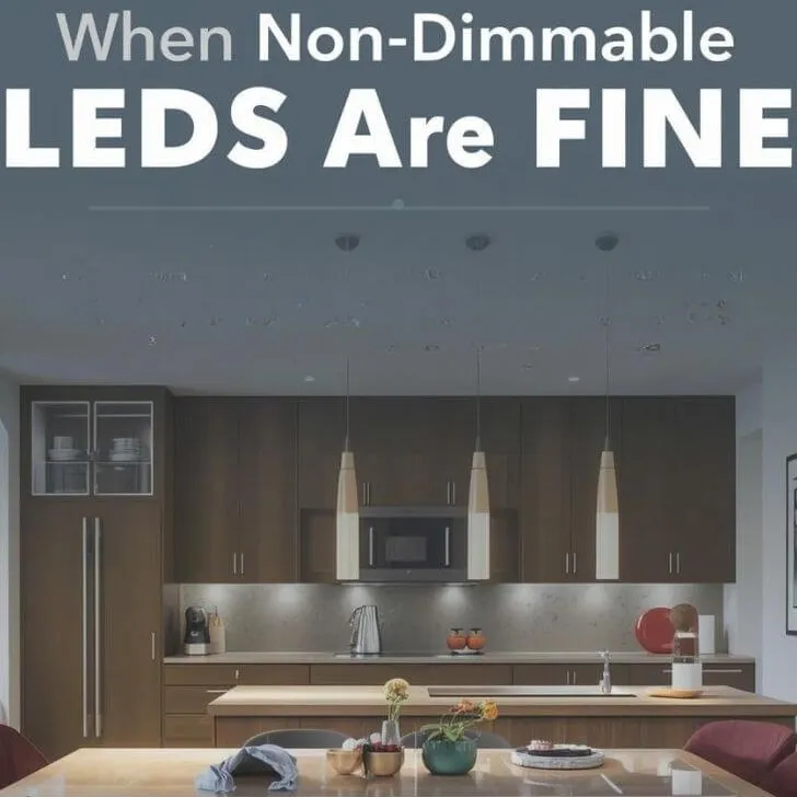 When non-dimmable LEDs are the right choice