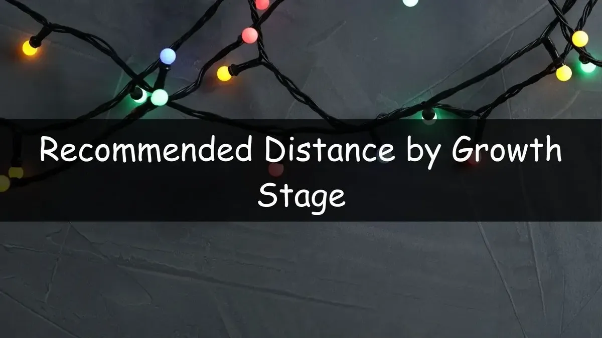 How Long Do LED Christmas Tree Lights Last?