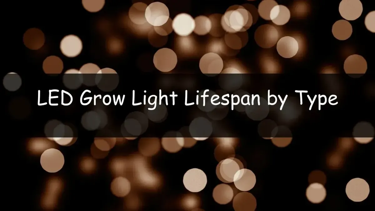 How Long Do LED Grow Lights Last