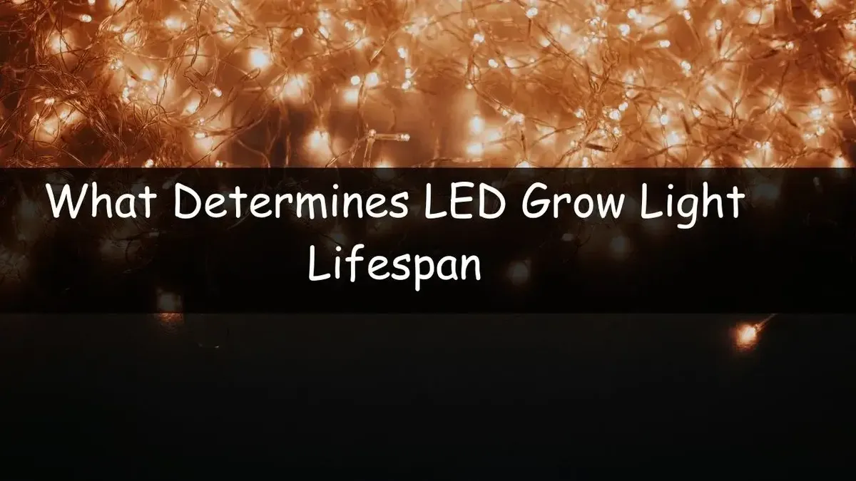 How Long Do LED Grow Lights Last