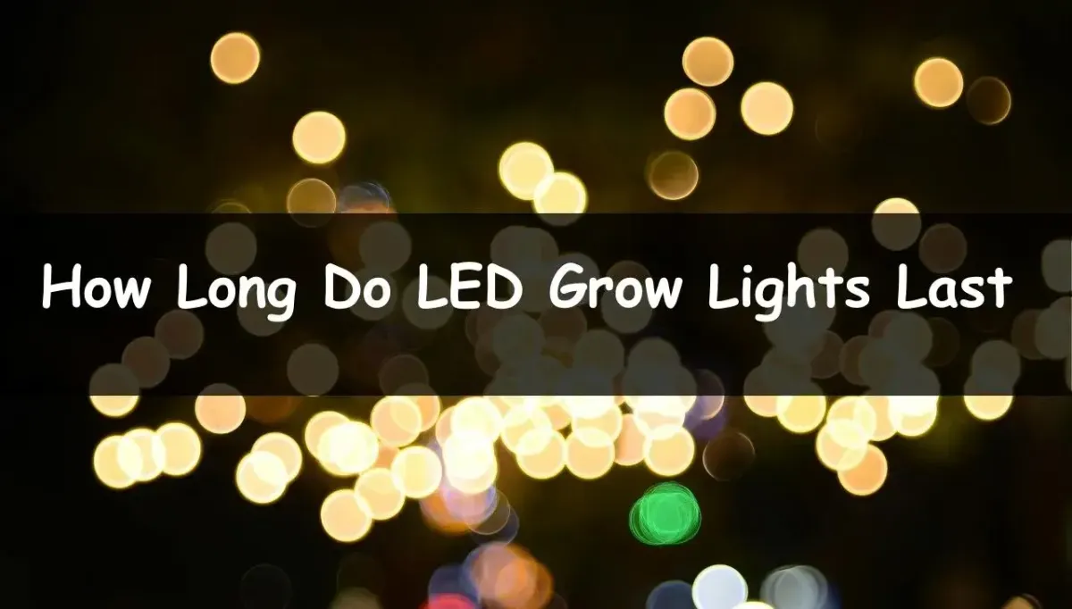 How Long Do LED Grow Lights Last- LedLightsGeek